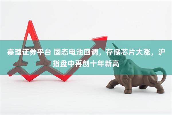 嘉理证券平台 固态电池回调，存储芯片大涨，沪指盘中再创十年新高