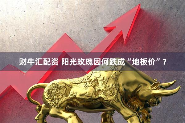 财牛汇配资 阳光玫瑰因何跌成“地板价”？