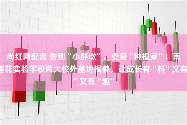 尚红网配资 告别“小胖墩”、变身“种植家”！南京市莲花实验学校两大校外基地揭牌，让成长有“料”又有“趣”