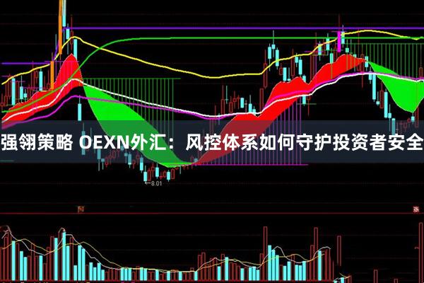 强翎策略 OEXN外汇：风控体系如何守护投资者安全