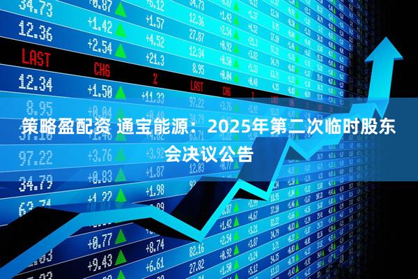 策略盈配资 通宝能源:2025年第二次临时股东会决议公告