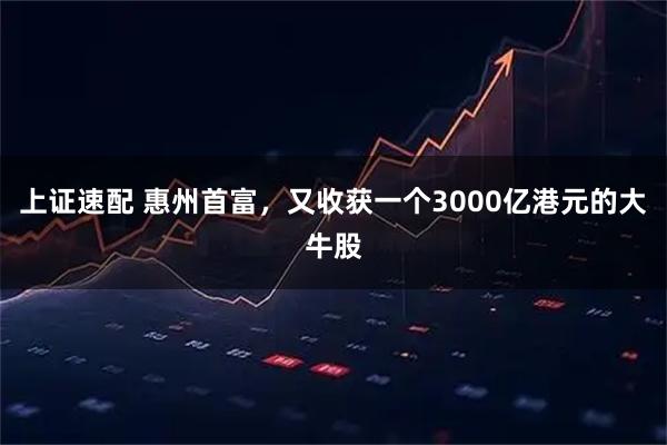 上证速配 惠州首富，又收获一个3000亿港元的大牛股